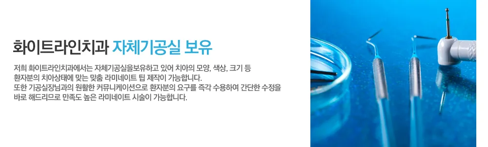 라미네이트 3